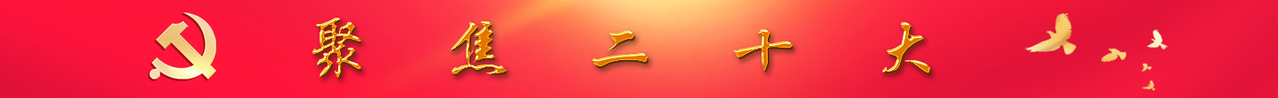 聚焦二十大